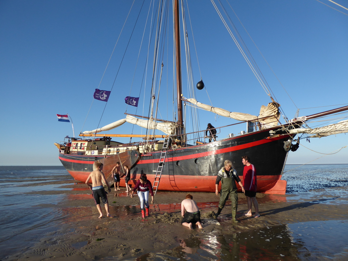 Klipper Amore Vici Segelschiff Mit 18 Kojen Ab Enkhuizen