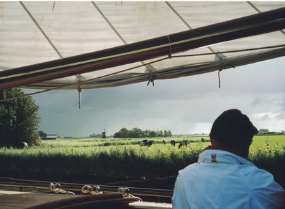 Amore Vici zeilend door Friesland natuur.jpg