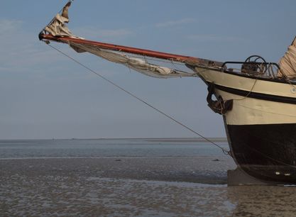 Eensgezindheid op het Wad.JPG