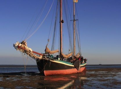 Segeln 2008 403_thumb.jpg