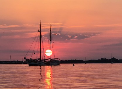 Ortolan bij zonsondergang.jpg