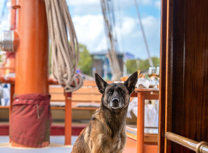 Schip_Radboud_door_Evie_Stroomer_01.jpg