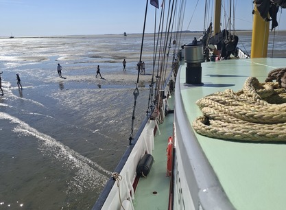 droogvallen zeemeeuw.jpg