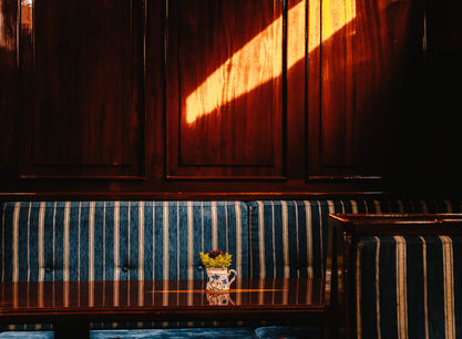 25_Zon_in_de_salon.jpg