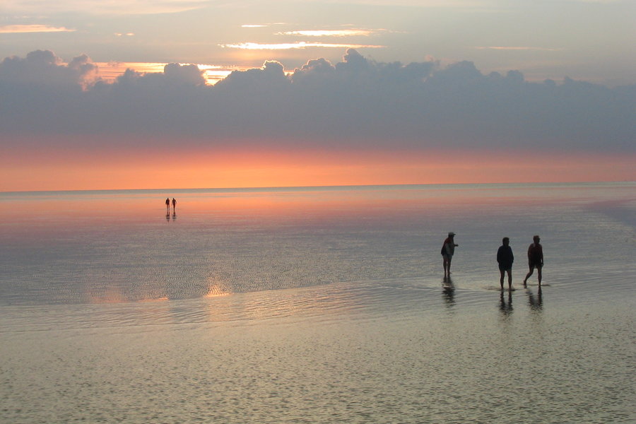 Wattenmeer - 