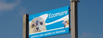 Travelguide - Ecomare