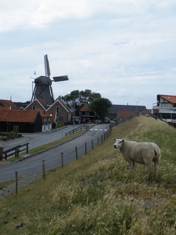 Klassenfahrt - Segeln zu pittoresken Orten und UNESCO-Weltnaturerbe