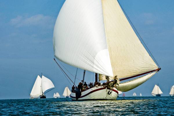 Regattasegeln und Teambuilding - Regattasegeln: Race auf dem Wasser