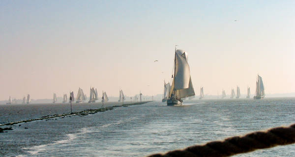 Segelblog - Die Regattasaison beginnt: Das steht im Oktober und November 2026 auf dem Programm