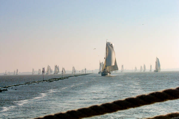 Regattasegeln und Teambuilding - Regattasegeln: Race auf dem Wasser