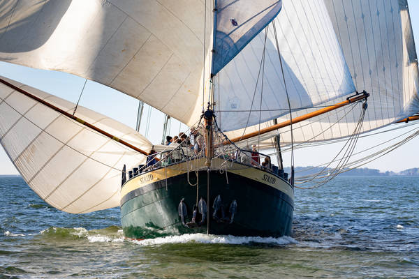 Regattasegeln und Teambuilding - Regattasegeln: Race auf dem Wasser