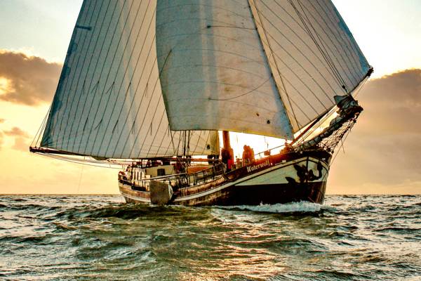 Regattasegeln und Teambuilding - Regattasegeln: Race auf dem Wasser