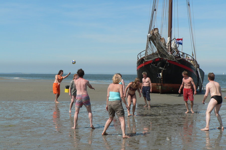 Wattenmeer - 