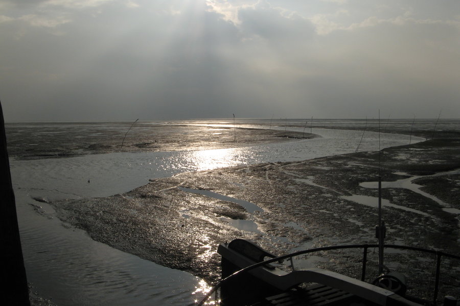 Wattenmeer - 
