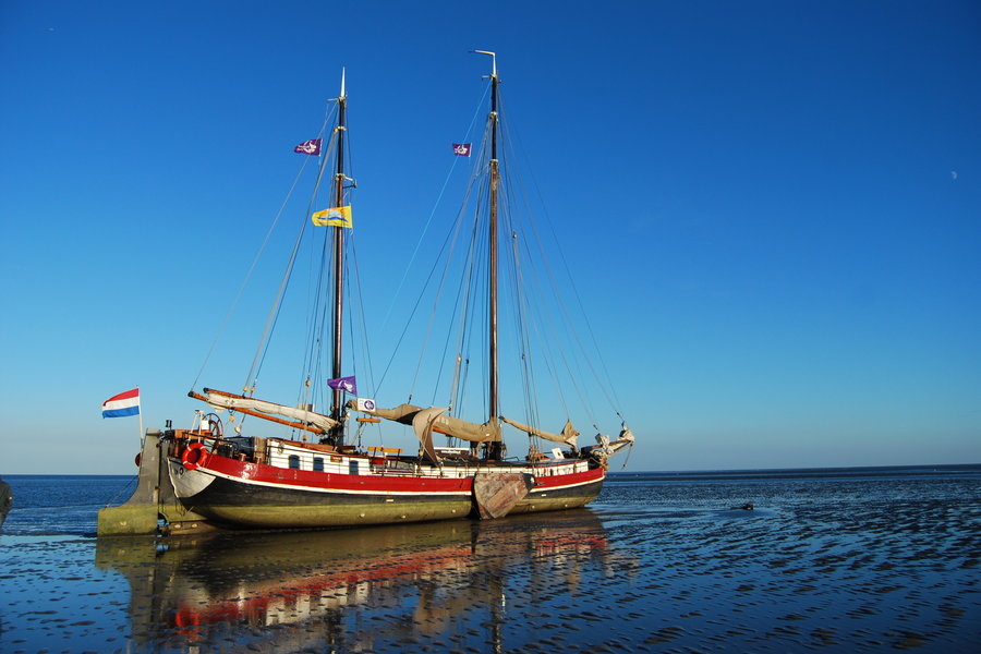 Wattenmeer - 