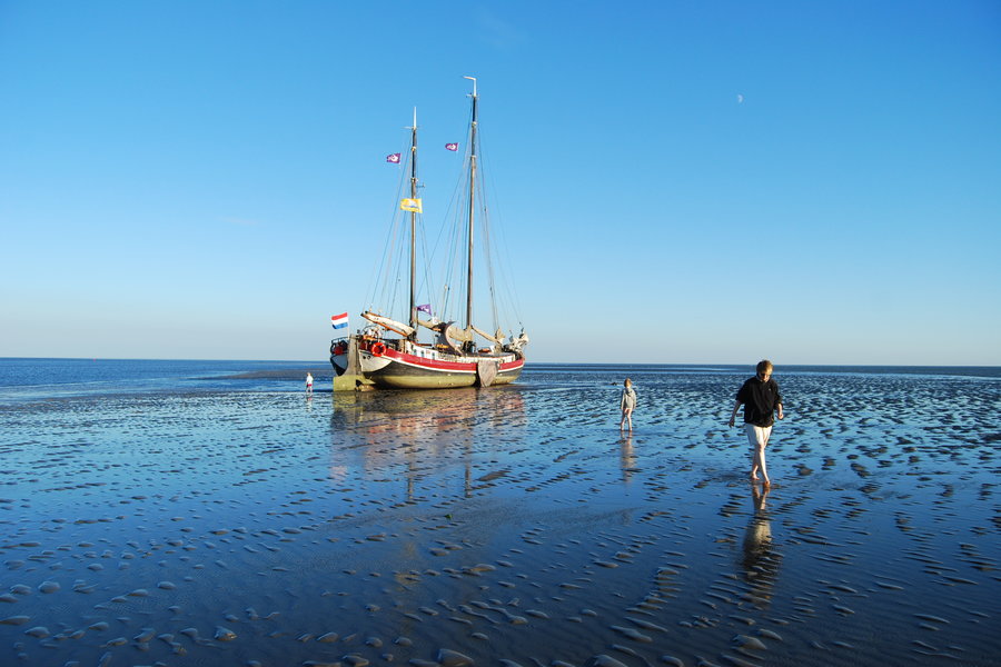 Wattenmeer - 
