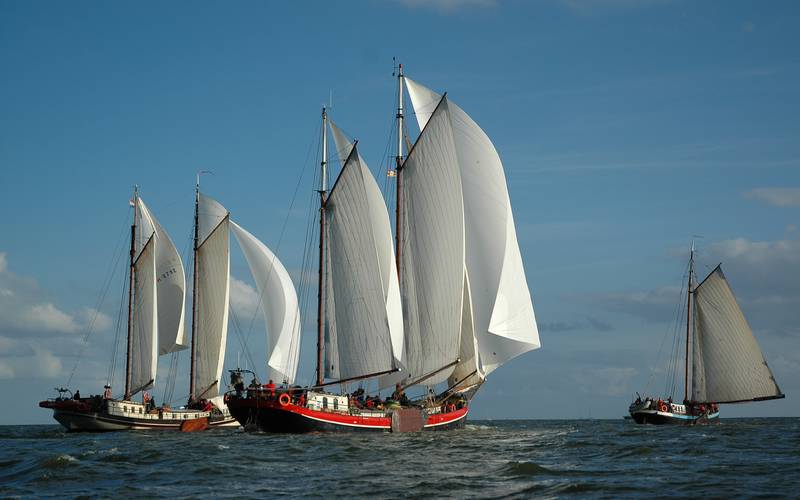 Regattasegeln -  Regattasegeln auf Markermeer, IJsselmeer und Wattenmeer