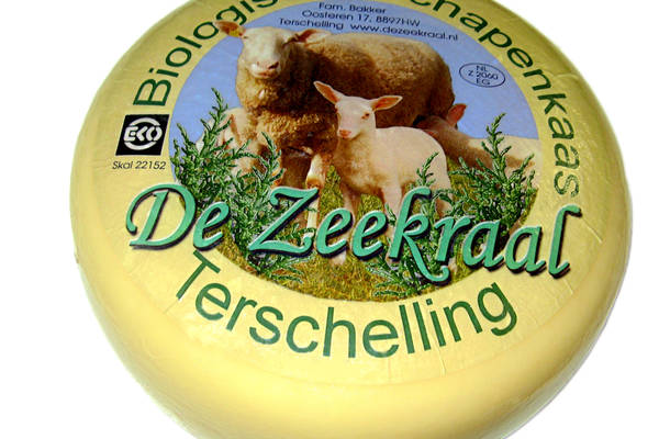 Segelblog - Heilkunde im Wattenmeer