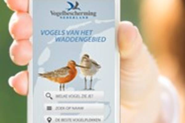 Segelblog - App und Flut