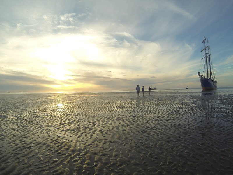 trockenfallen wattenmeer