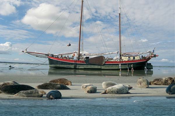 Segelurlaub mit Skipper - Erlebnisse rund ums Ijsselmeer