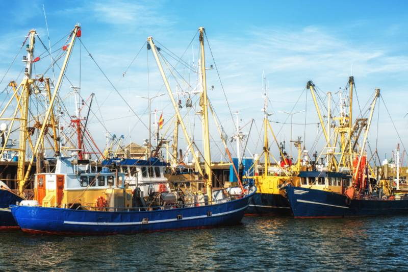 Den Oever - Den Oever: das Tor zum Wattenmeer und ein historisches Fischerdorf