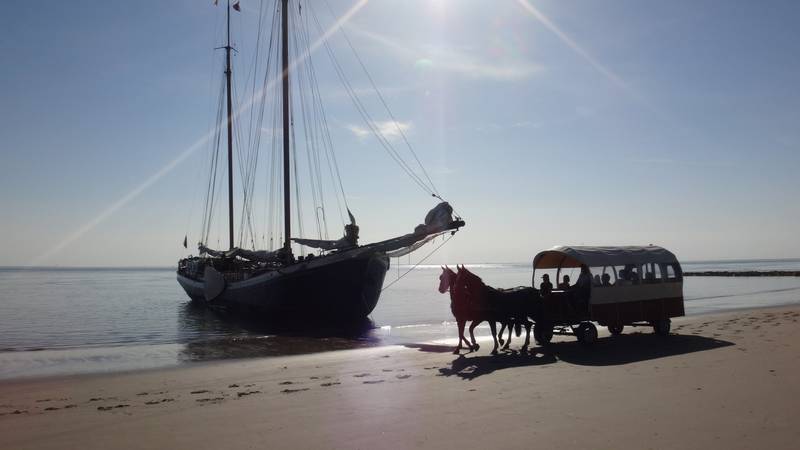 Ameland - Das Beste, was man auf Ameland unternehmen kann