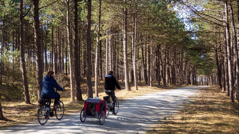 Terschelling - Die besten Aktivitäten auf Terschelling - Entdecken Sie das Inselparadies!