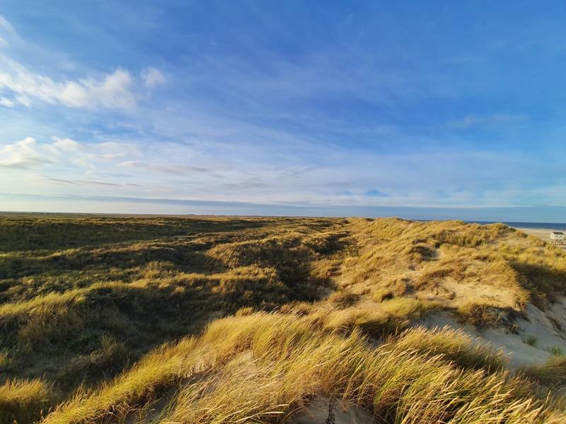 Terschelling - Besonderes Naturschutzgebiet auf der Insel Terschelling