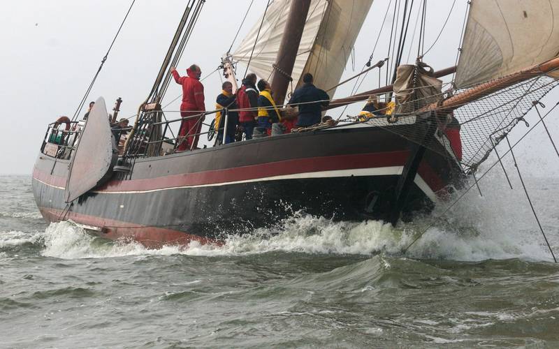 Regattasegeln - Aktion und Spektakel: Jeder ist willkommen