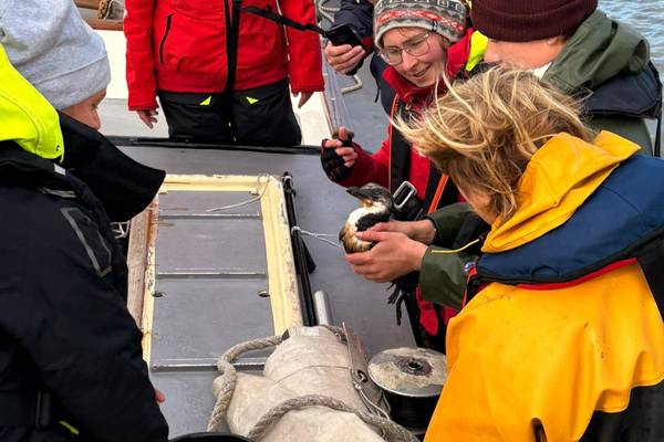 Segelblog - Slag in de Rondte 2025: Die Welvaart zwischen Wind, Wetter & Rettungsaktionen