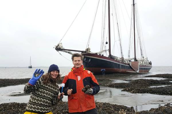 Segelblog - Slag in de Rondte 2025: Die Welvaart zwischen Wind, Wetter & Rettungsaktionen