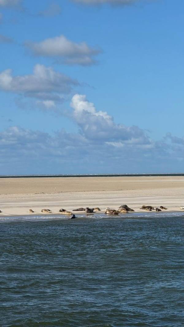 Segelblog - Fotostrecke zum Saisonabschluss 2025: Blick zurück auf ein wunderschönes Segeljahr