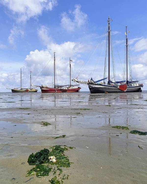 Irene Toxopeus (Nirwana) - Der Beruf der Skipperin: alles auf einmal