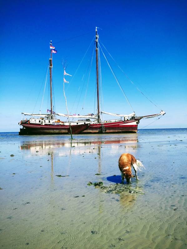 Irene Toxopeus (Nirwana) - Der Beruf der Skipperin: alles auf einmal