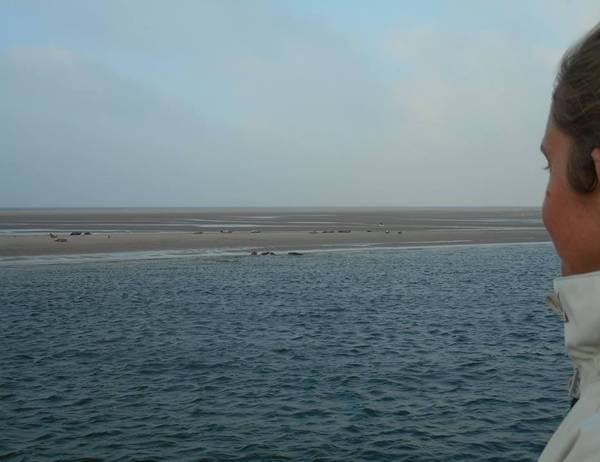 Sytze Kooi - Was bedeutet es für Sytze, Skipper zu sein?