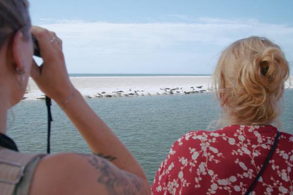 Segelblog - Familienzeit: Segeln mit drei Generationen – Jubiläum auf dem Wasser feiern