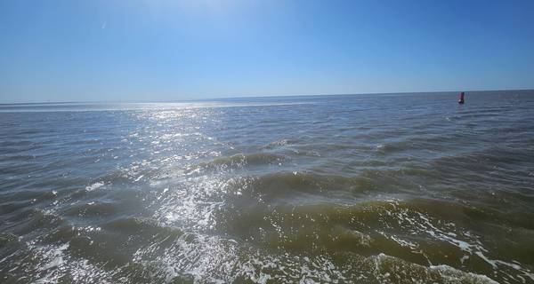 Segelblog - Video: Wie funktioniert die Strömung im Wattenmeer?