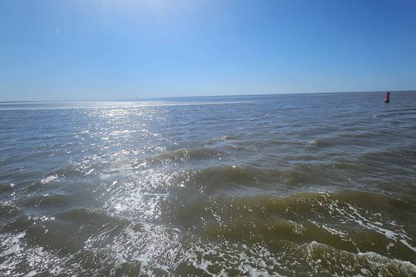Segelblog - Betriebsausflug auf dem Wattenmeer – Team Holland Sail auf Kurs
