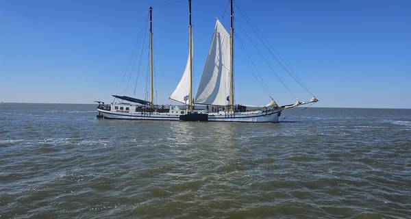 Segelblog - Betriebsausflug auf dem Wattenmeer – Team Holland Sail auf Kurs