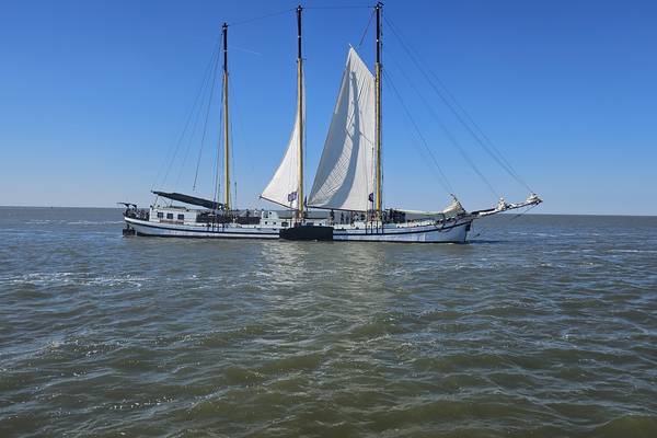 Segelblog - Betriebsausflug auf dem Wattenmeer – Team Holland Sail auf Kurs