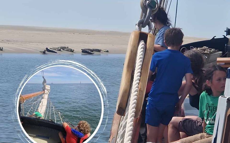 Segelblog - So sah der Juni auf dem Wasser aus