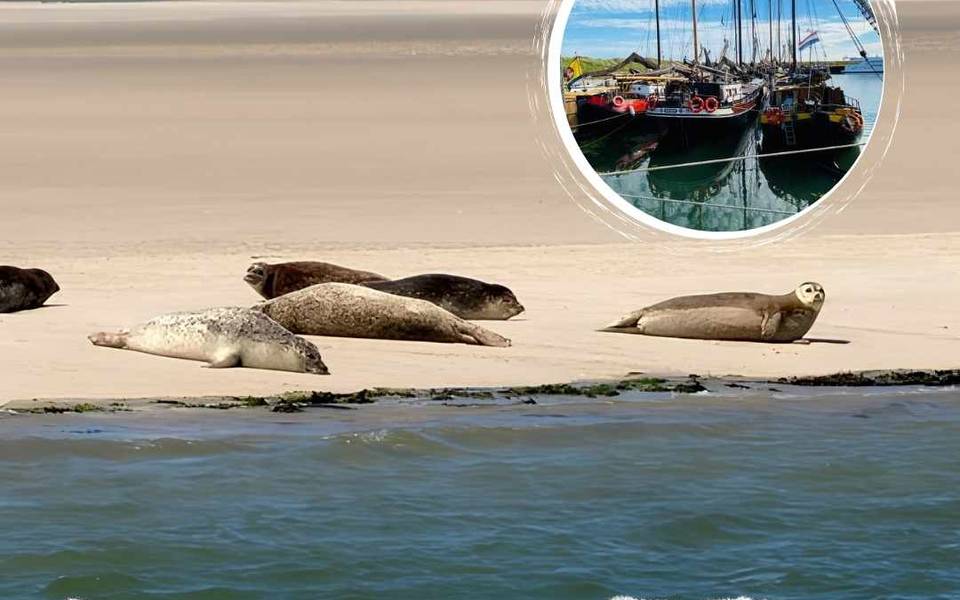 Segelblog - So sah der Juni auf dem Wasser aus